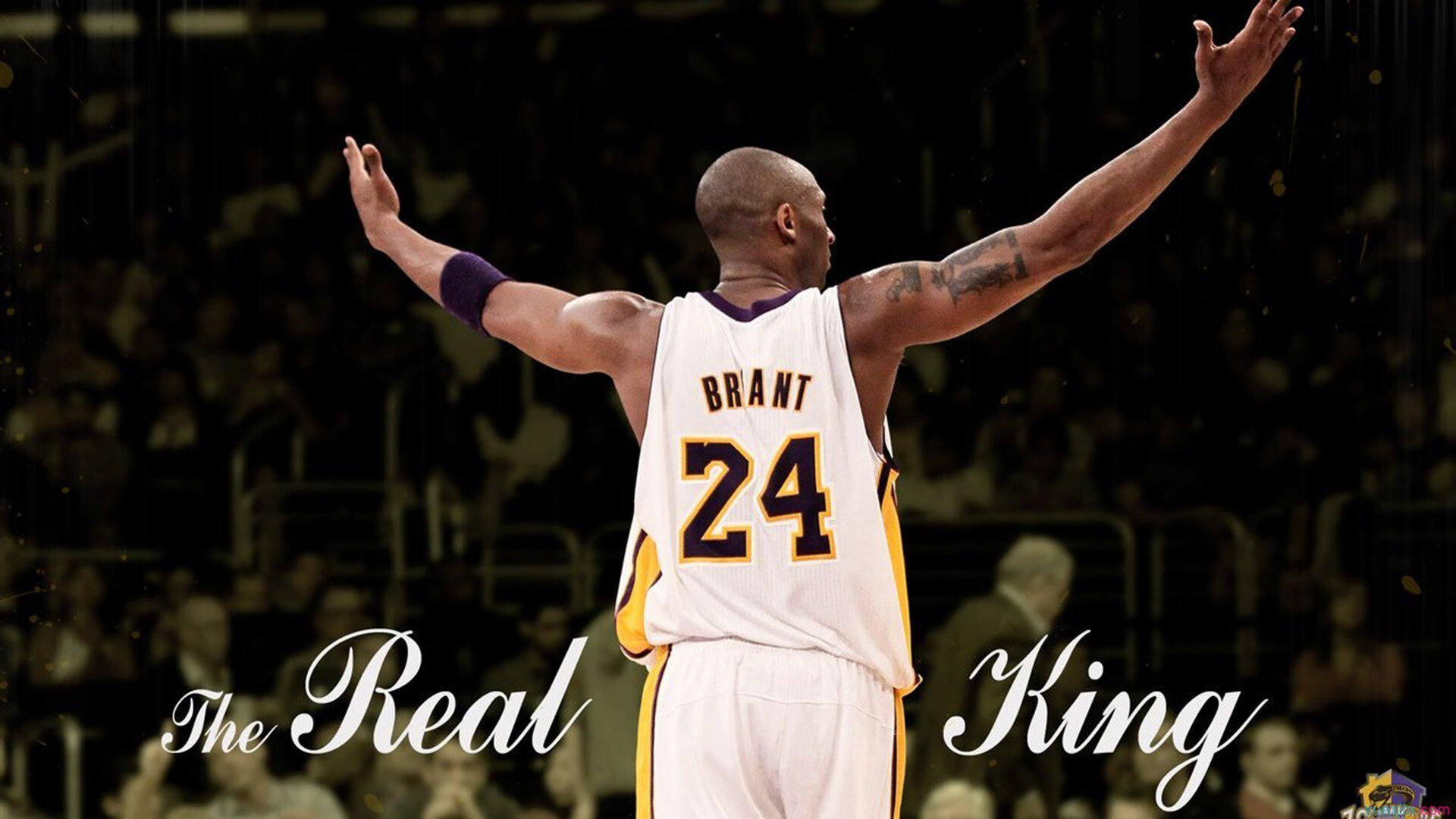 激战正酣！亚洲电视转播最受关注比赛，亚洲节目宣传页