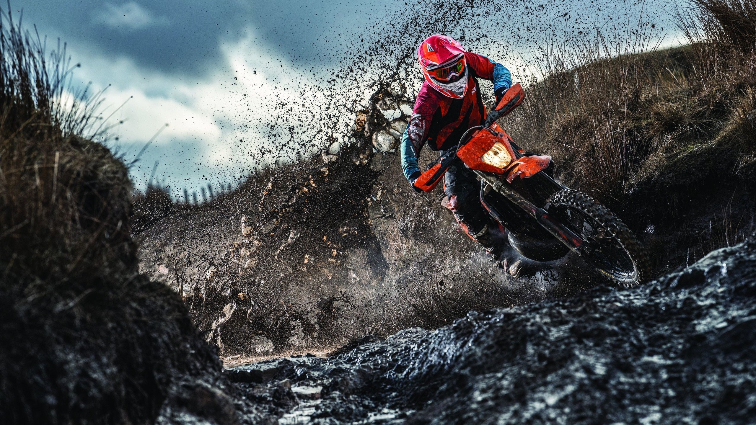 荷兰骑手 Merel Blom-Hulsman 在巴黎奥运会三项赛中获得第八名，展现坚韧精神。